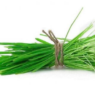 doorva grass